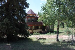 FaithSpun | Young Victorian | Colorado